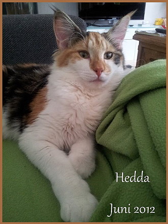 Hedda-Juni-2012-3